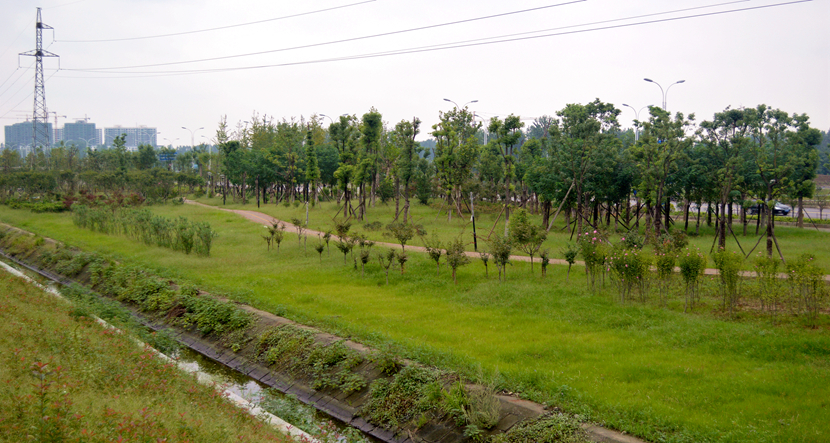 湖北·316 國(guó)道老河口市城區(qū)梨花大道景觀項(xiàng)目