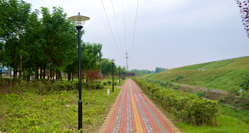 湖北·316 國(guó)道老河口市城區(qū)梨花大道景觀項(xiàng)目